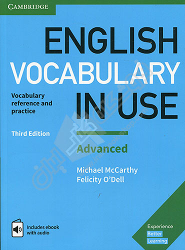 English Vocabulary In Use Advanced