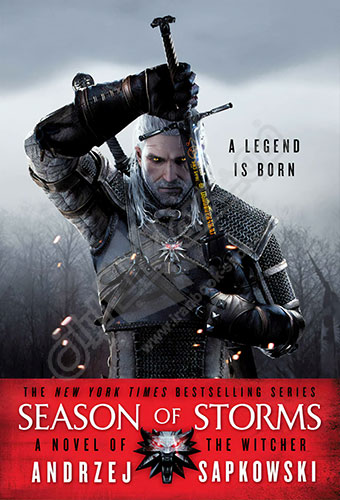 Season of Storms: The Witcher Book 8