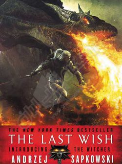 کتاب The Last Wish : The Witcher