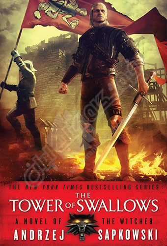 The Tower of Swallows: The Witcher Book 6